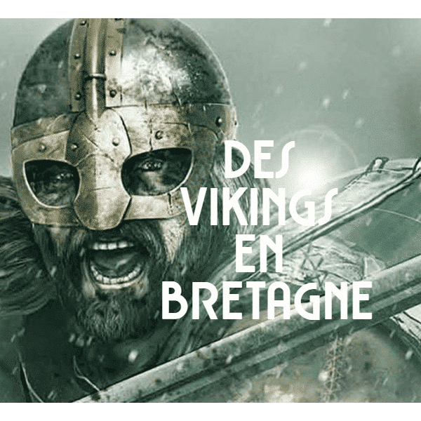 Intervention vikings - Collège Chateaubriand - Gourin